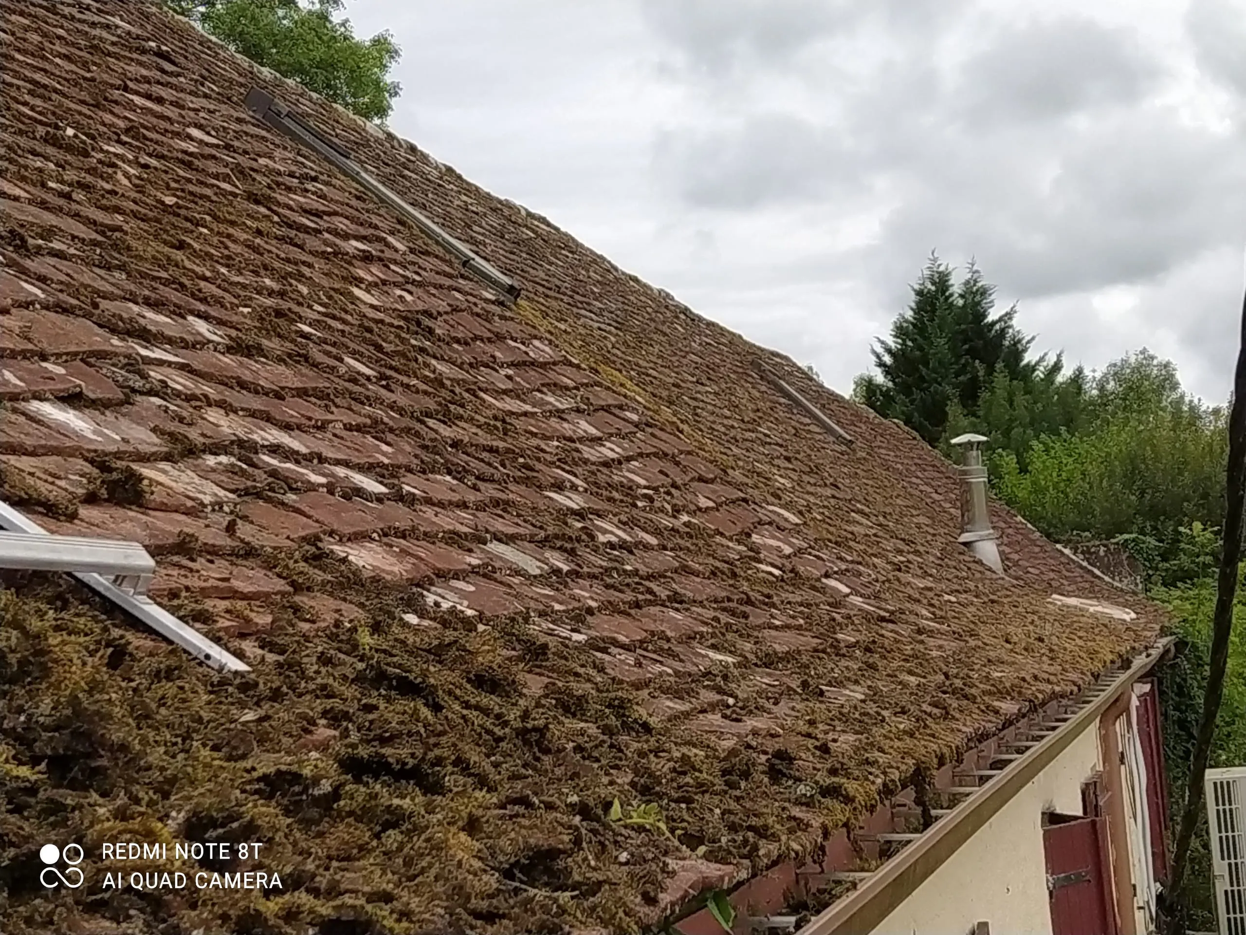 Toiture ancienne en tuiles fortement recouverte de mousse avec cheminée