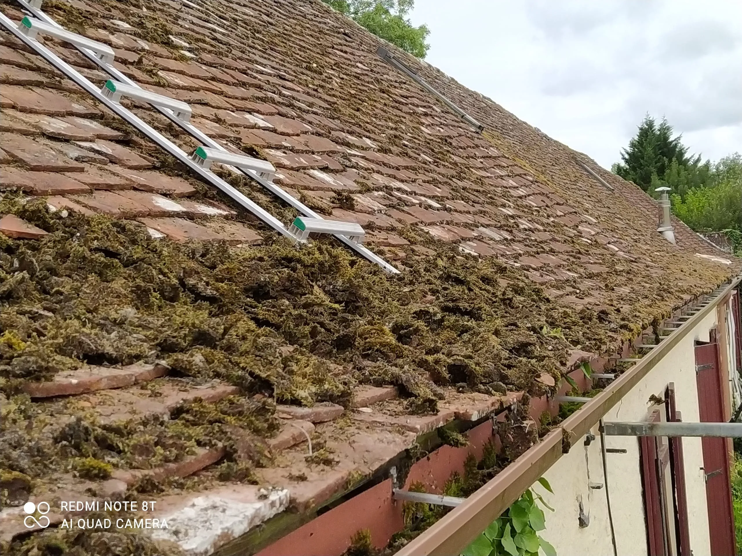 Toiture ancienne en tuiles largement couverte de mousse avec une échelle d’accès