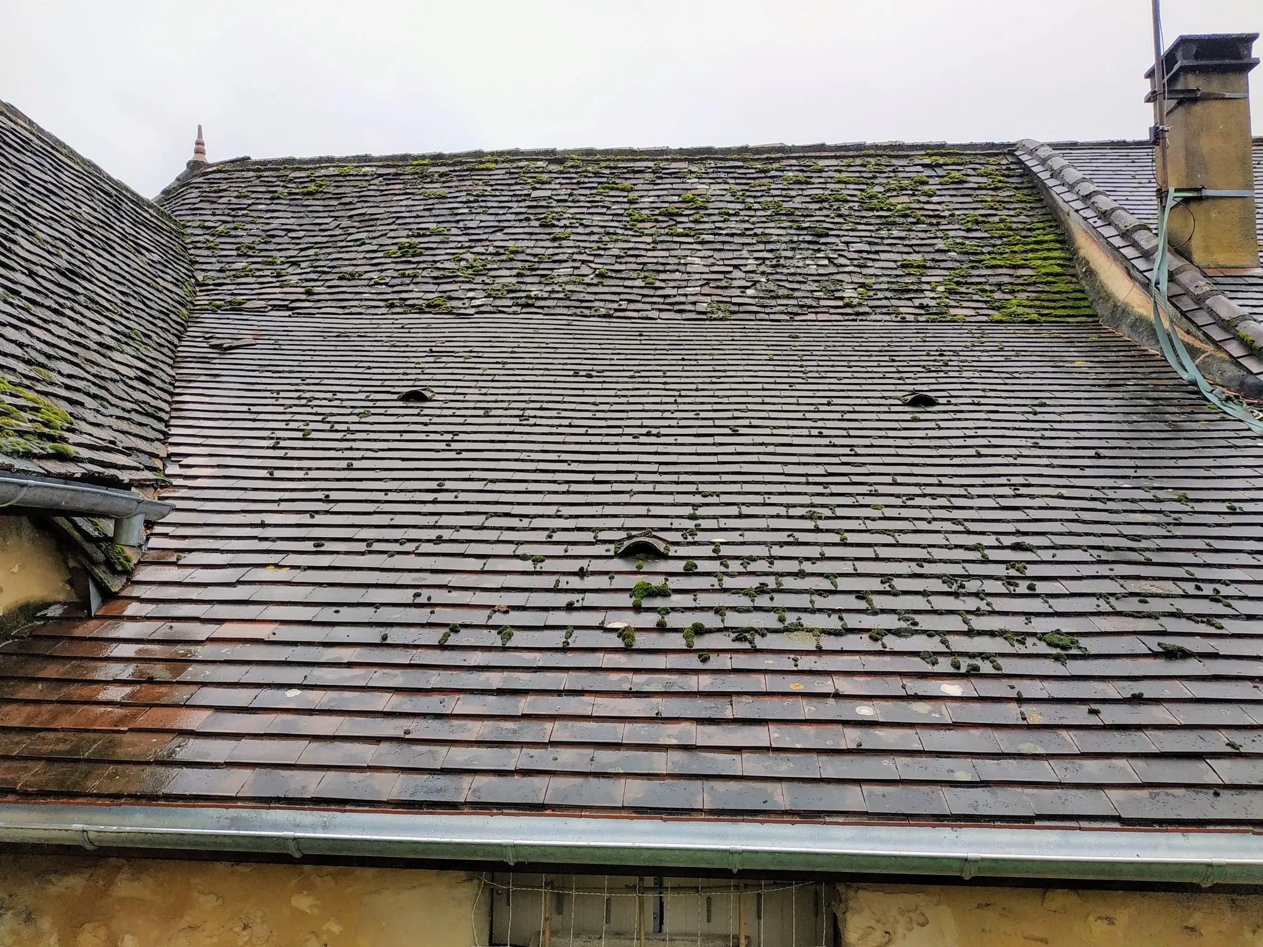 Grande toiture ancienne en ardoise parsemée de mousse sous un ciel couvert