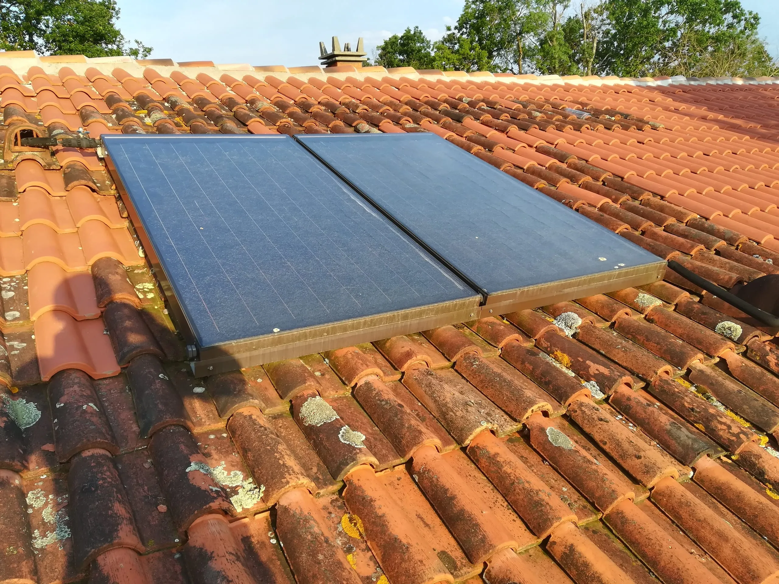 Deux panneaux solaires sur une toiture en tuiles canal avec mousses et lichens visibles