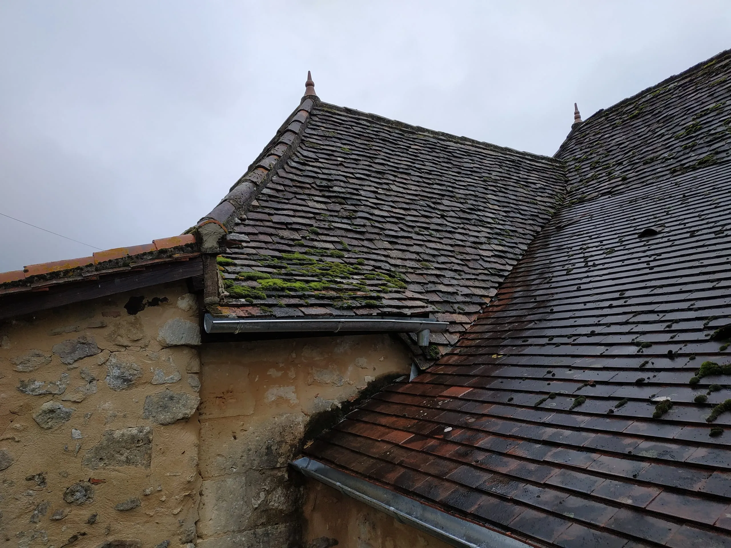 Toiture ancienne à plusieurs pans avec mousse et gouttières métalliques