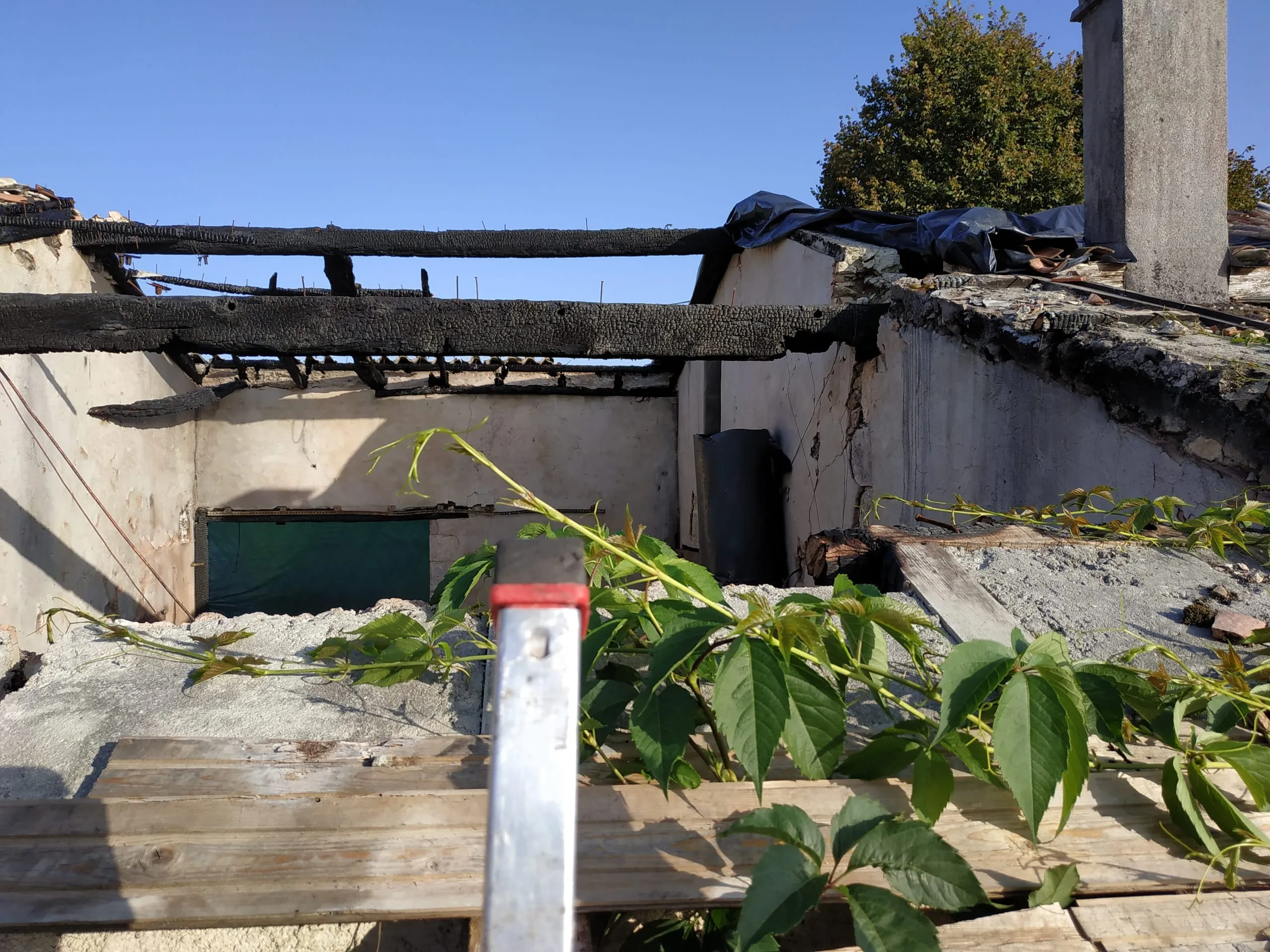 Toiture et charpente fortement endommagées, avec bâches de protection et végétation au premier plan