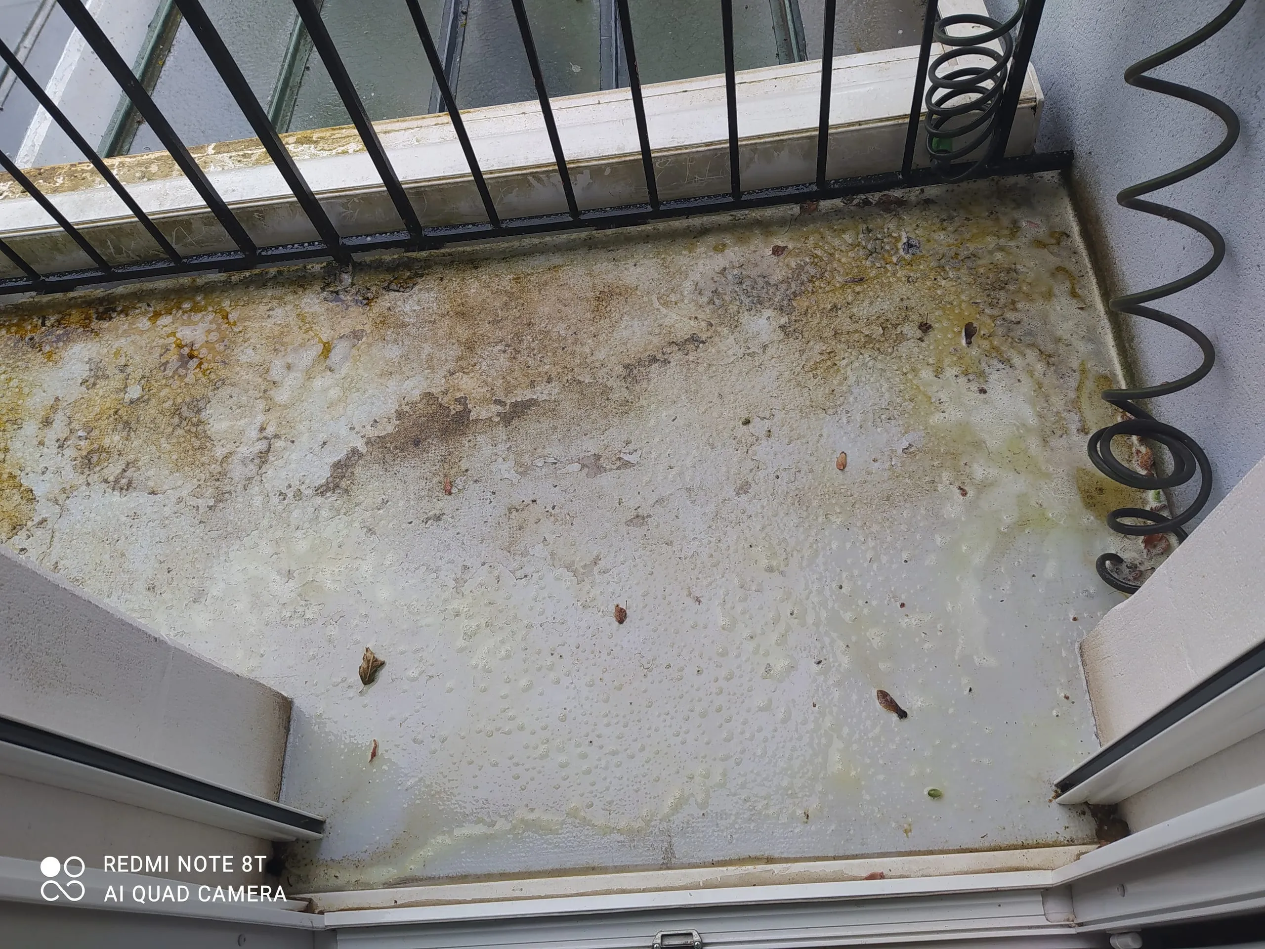 Toiture-terrasse humide présentant des traces d’usure et de stagnation d’eau