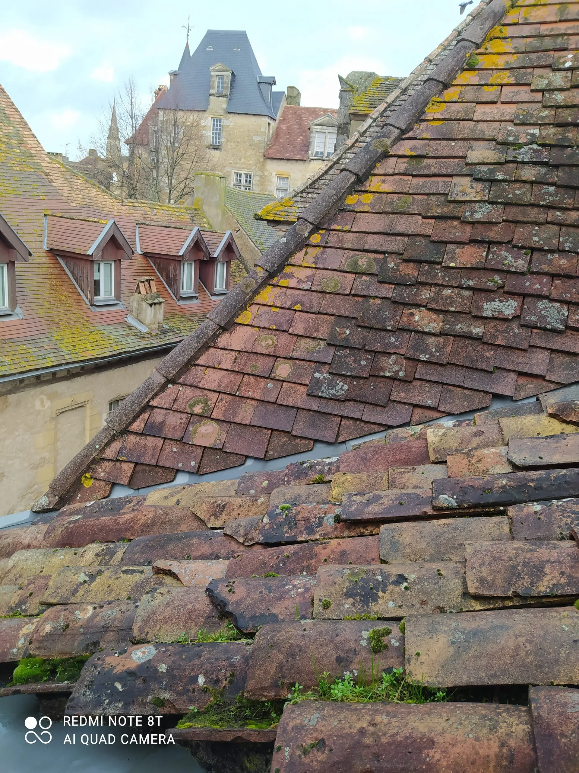 Toiture en tuiles anciennes couvertes de mousse et de lichens, vue rapprochée